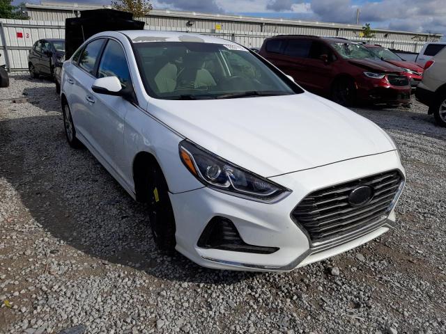 HYUNDAI SONATA SPO 2018 5npe34afxjh596973