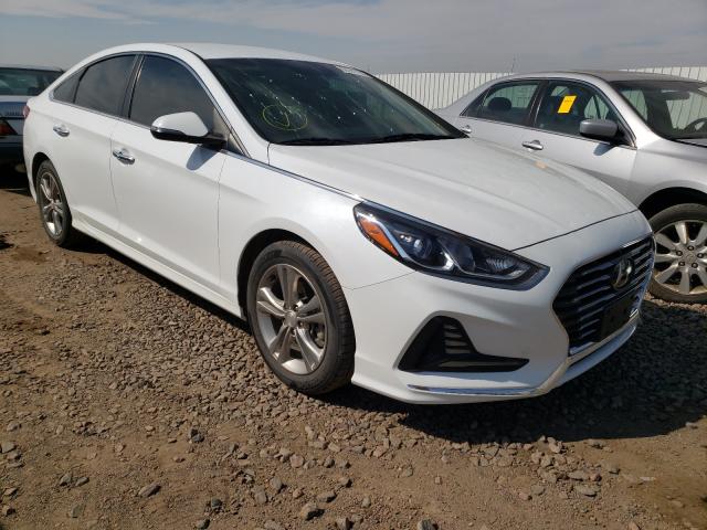 HYUNDAI SONATA SPO 2018 5npe34afxjh620771