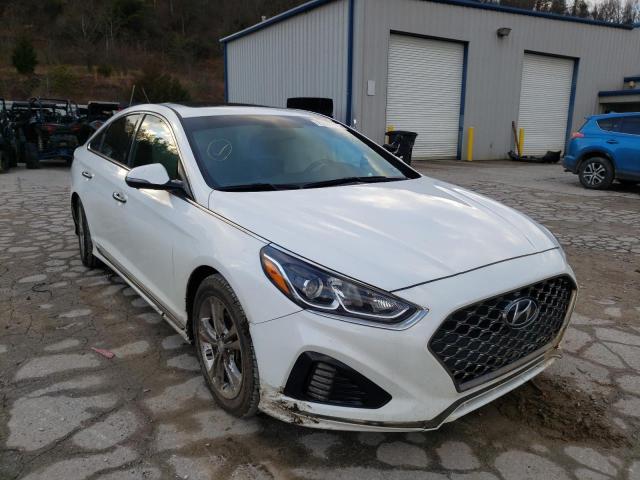 HYUNDAI SONATA SPO 2018 5npe34afxjh636999