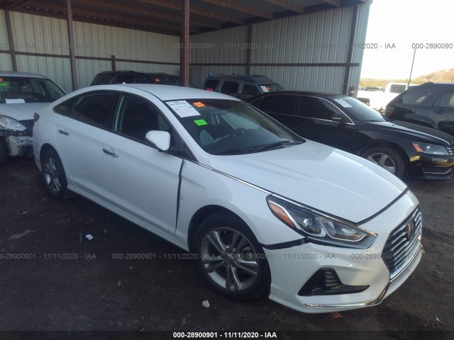 HYUNDAI SONATA 2018 5npe34afxjh639983