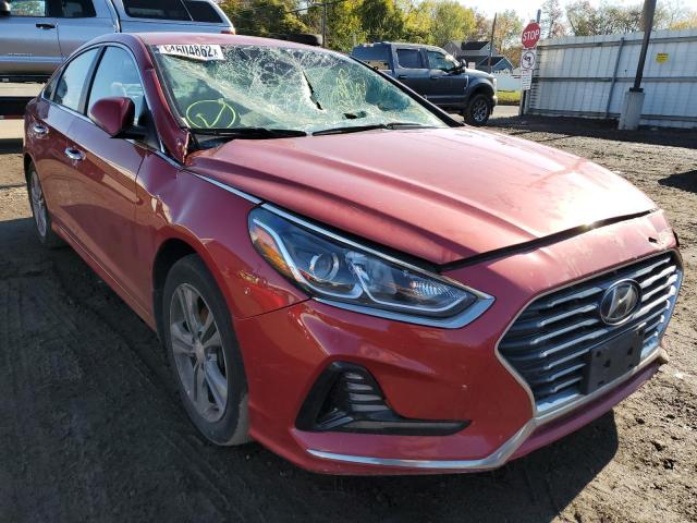 HYUNDAI SONATA SPO 2018 5npe34afxjh649266