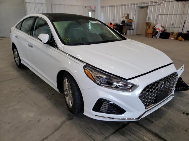 HYUNDAI SONATA LIM 2019 5npe34afxkh775628