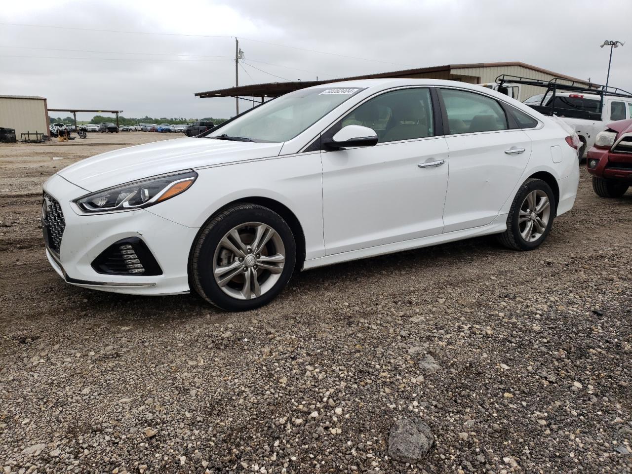 HYUNDAI SONATA 2019 5npe34afxkh795586