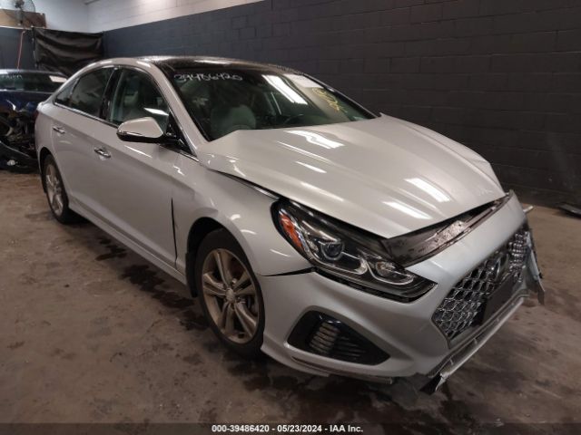 HYUNDAI SONATA 2019 5npe34afxkh812029