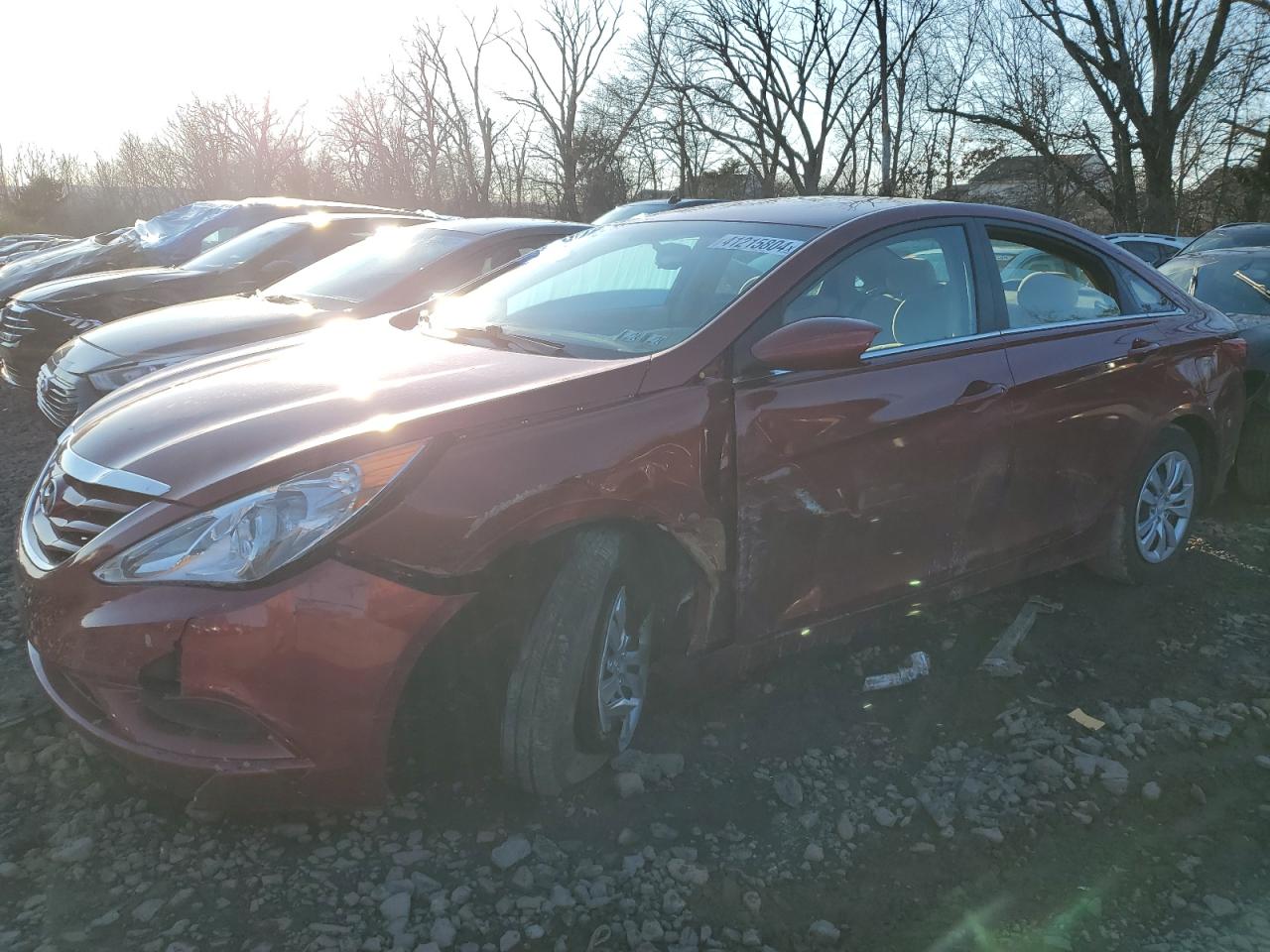 HYUNDAI SONATA 2013 5npeb4ac0dh551490