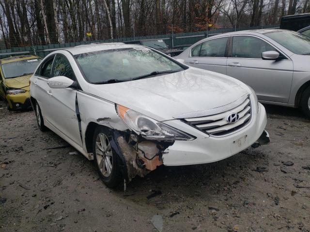 HYUNDAI SONATA GLS 2014 5npeb4ac0eh837714