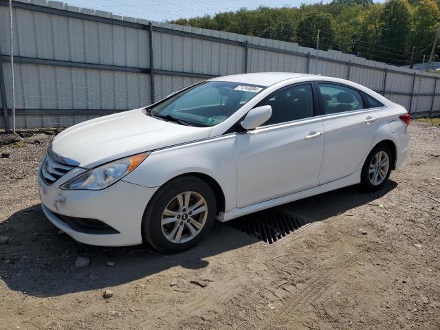 HYUNDAI SONATA GLS 2014 5npeb4ac0eh857221