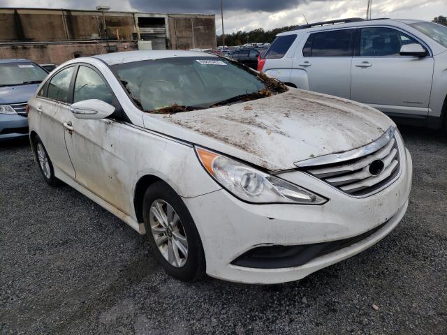 HYUNDAI SONATA 2014 5npeb4ac0eh881177