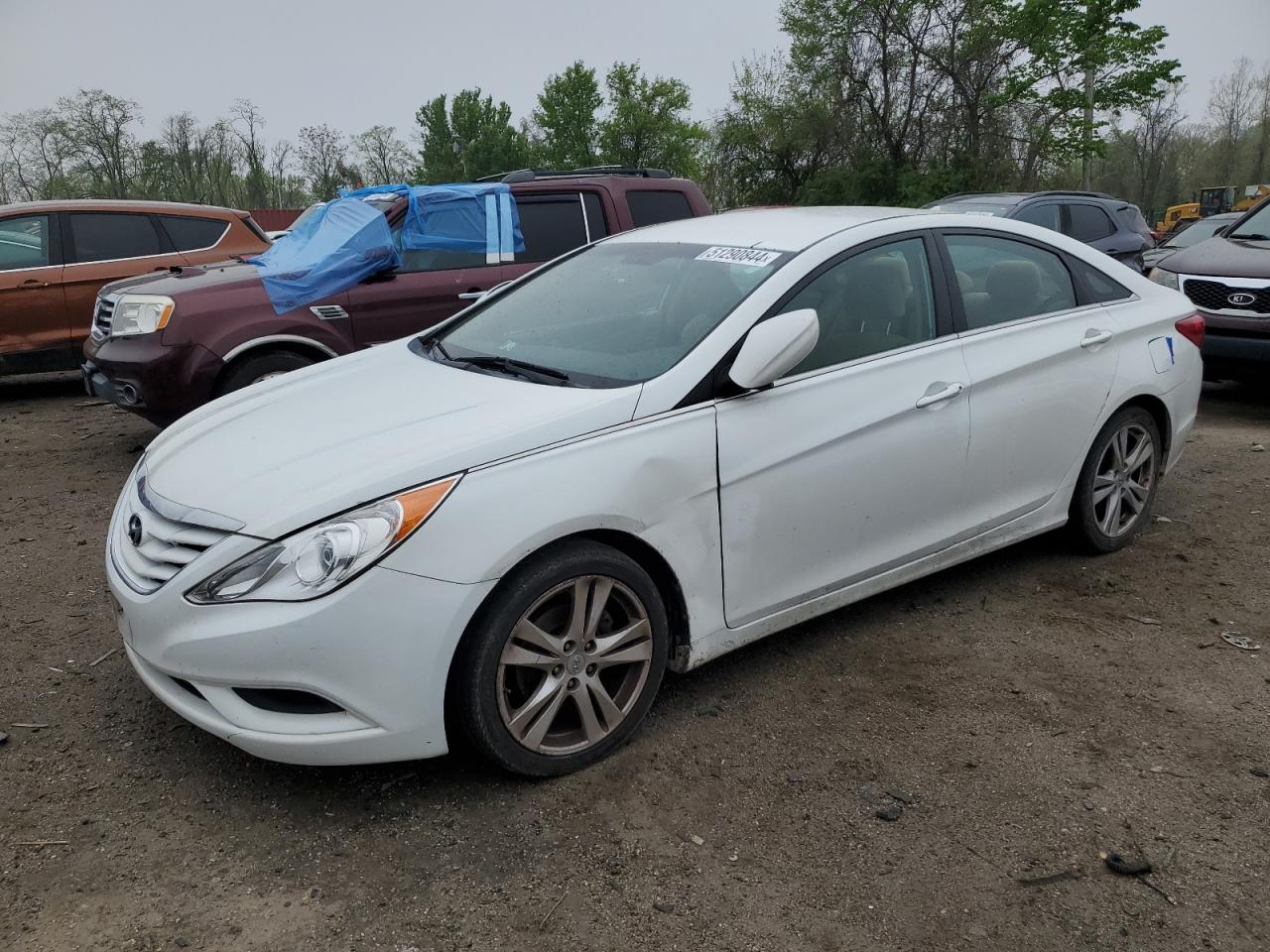 HYUNDAI SONATA 2011 5npeb4ac1bh066241