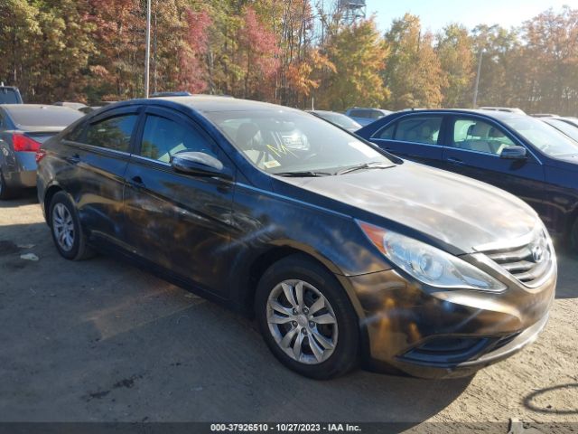 HYUNDAI SONATA 2011 5npeb4ac1bh264379