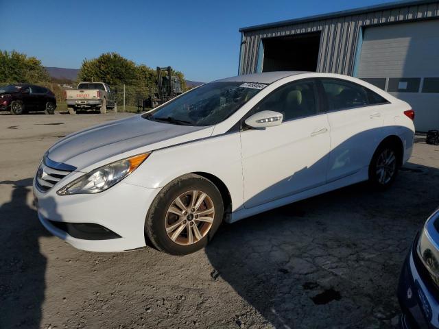 HYUNDAI SONATA GLS 2014 5npeb4ac1eh830576