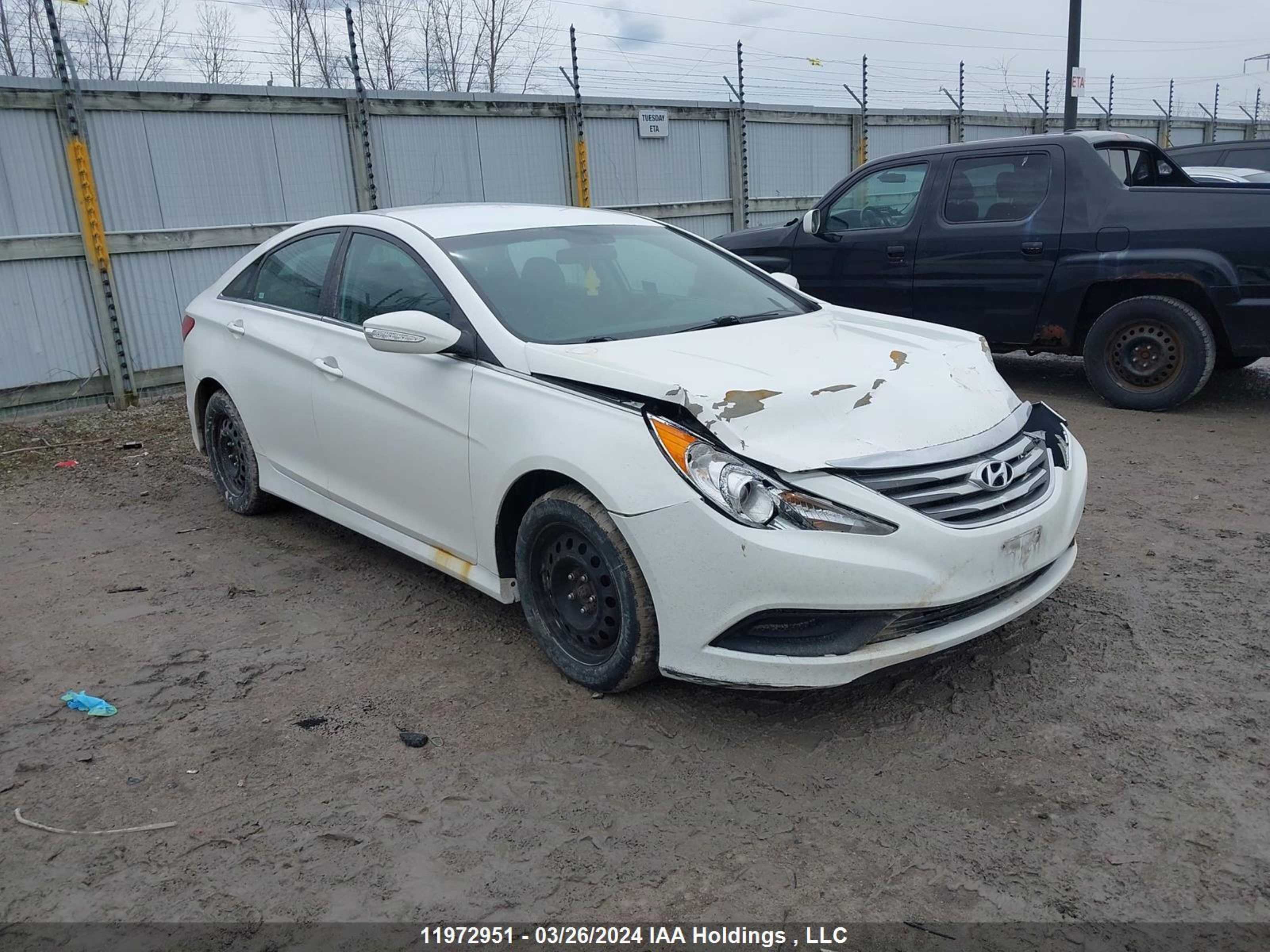 HYUNDAI SONATA 2014 5npeb4ac1eh894696