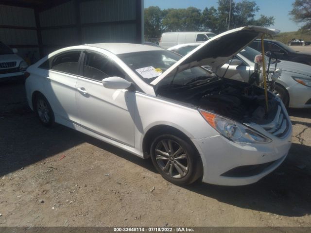 HYUNDAI SONATA 2014 5npeb4ac1eh908046