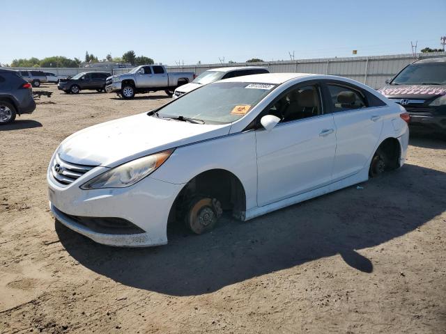 HYUNDAI SONATA 2014 5npeb4ac1eh928779