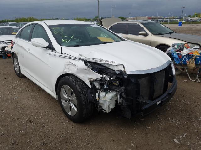 HYUNDAI SONATA GLS 2014 5npeb4ac2eh822311