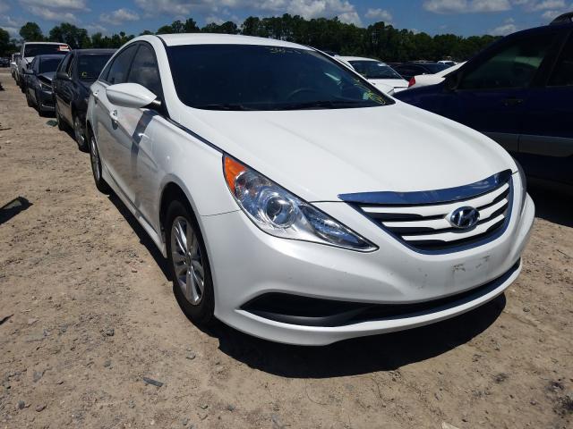 HYUNDAI SONATA GLS 2014 5npeb4ac2eh882377