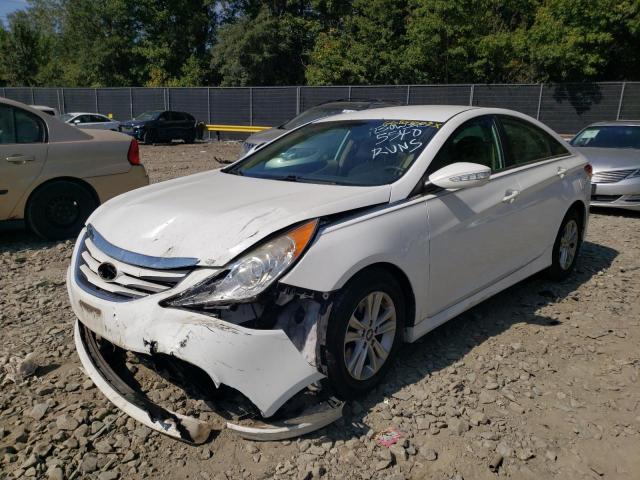 HYUNDAI SONATA GLS 2014 5npeb4ac2eh885540