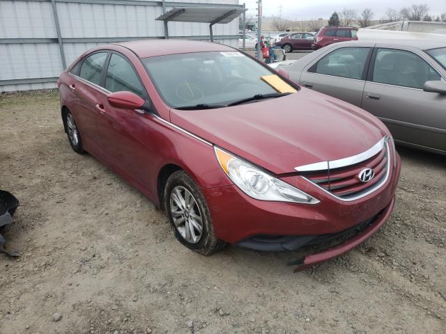 HYUNDAI SONATA GLS 2014 5npeb4ac2eh917919