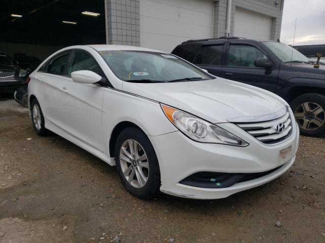 HYUNDAI SONATA 2014 5npeb4ac3eh904659