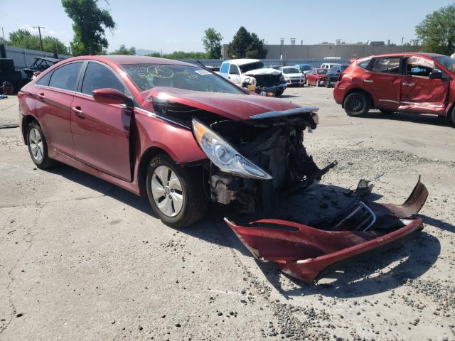 HYUNDAI SONATA 2014 5npeb4ac4eh819829