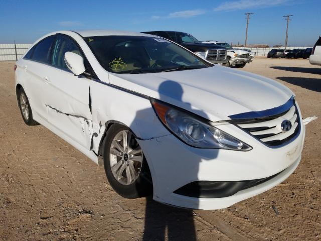 HYUNDAI SONATA GLS 2014 5npeb4ac4eh826411