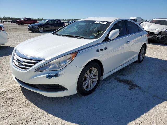 HYUNDAI SONATA GLS 2014 5npeb4ac4eh831446