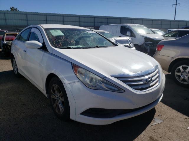 HYUNDAI SONATA GLS 2014 5npeb4ac4eh847999