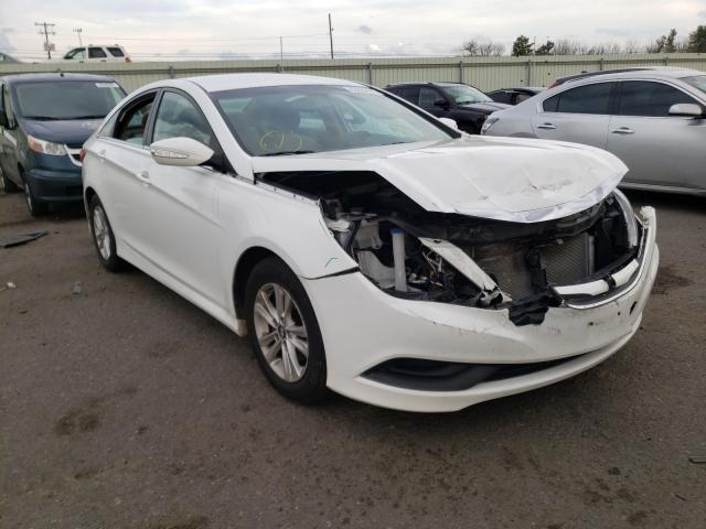 HYUNDAI SONATA GLS 2014 5npeb4ac4eh900295