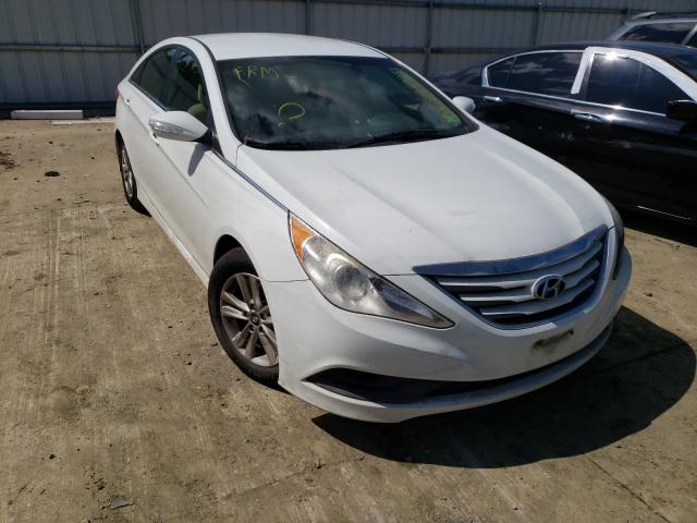 HYUNDAI SONATA GLS 2014 5npeb4ac5eh814333