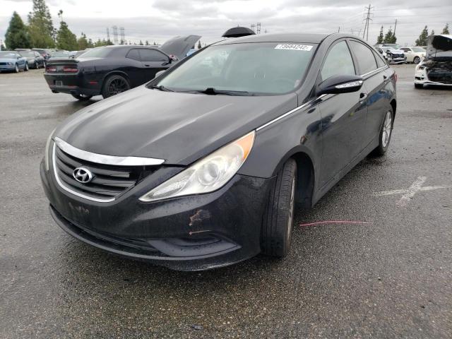 HYUNDAI SONATA GLS 2014 5npeb4ac5eh814493