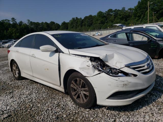 HYUNDAI SONATA GLS 2014 5npeb4ac5eh872944