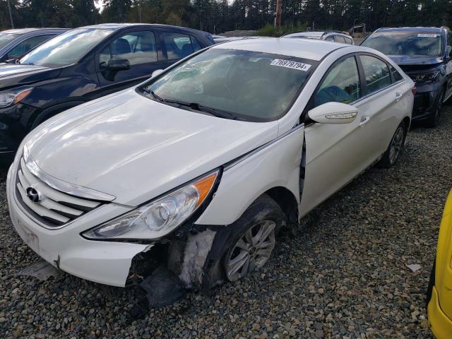 HYUNDAI SONATA GLS 2014 5npeb4ac5eh875407