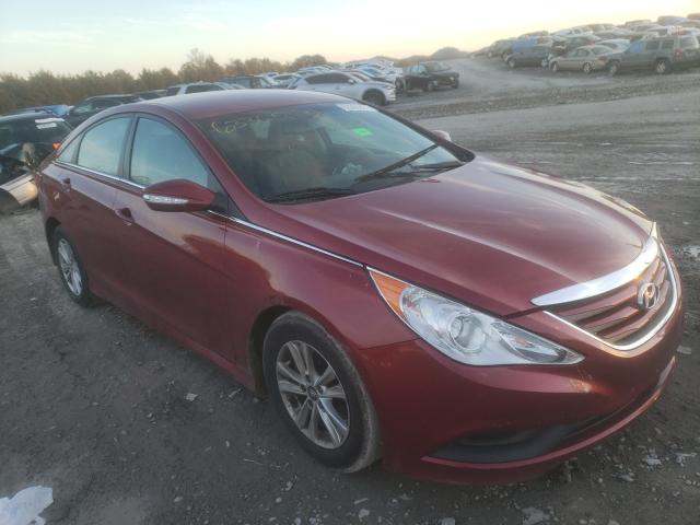 HYUNDAI SONATA GLS 2014 5npeb4ac5eh895219