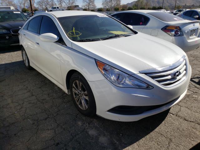 HYUNDAI SONATA GLS 2014 5npeb4ac5eh896239