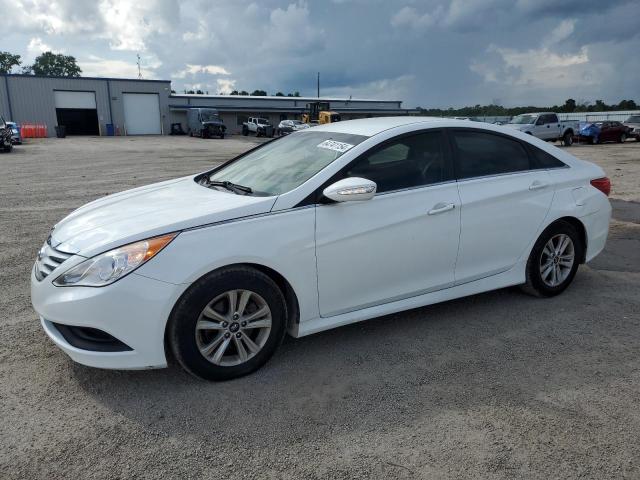 HYUNDAI SONATA GLS 2014 5npeb4ac5eh935170