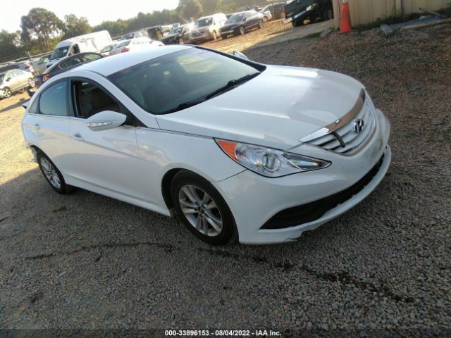 HYUNDAI SONATA 2014 5npeb4ac6eh918328