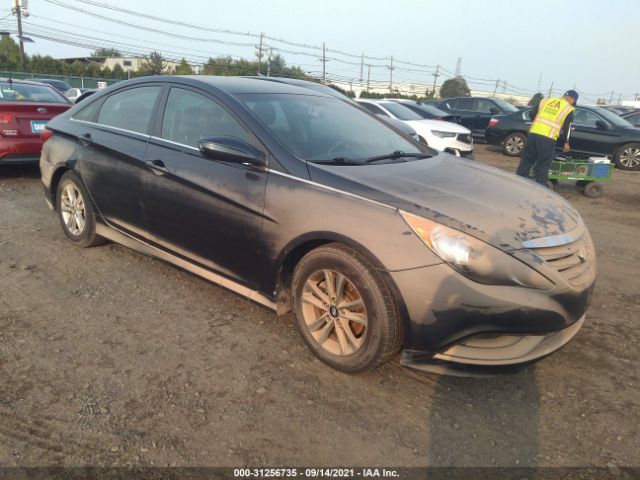 HYUNDAI SONATA 2014 5npeb4ac6eh940989