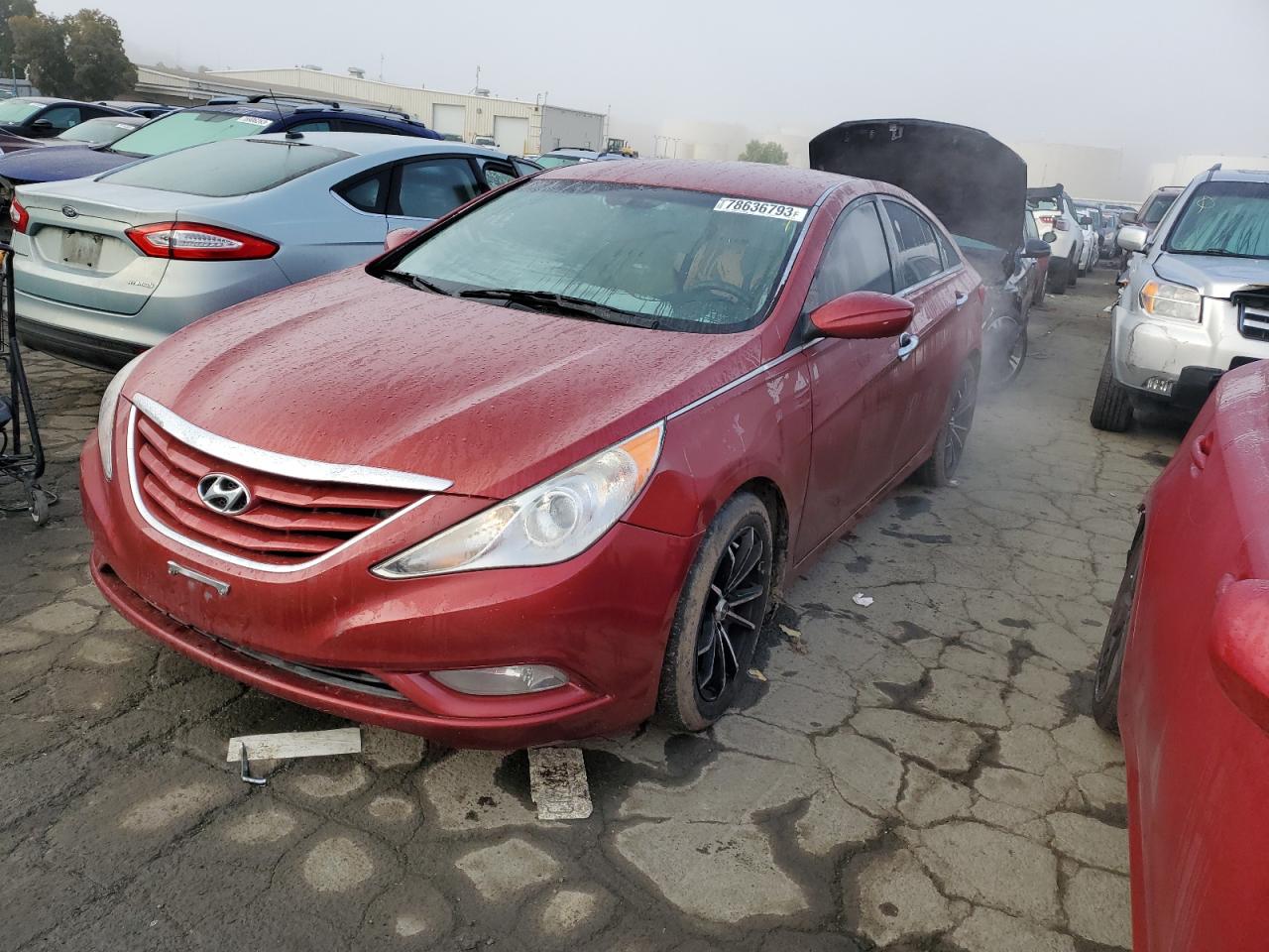 HYUNDAI SONATA 2013 5npeb4ac7dh539157