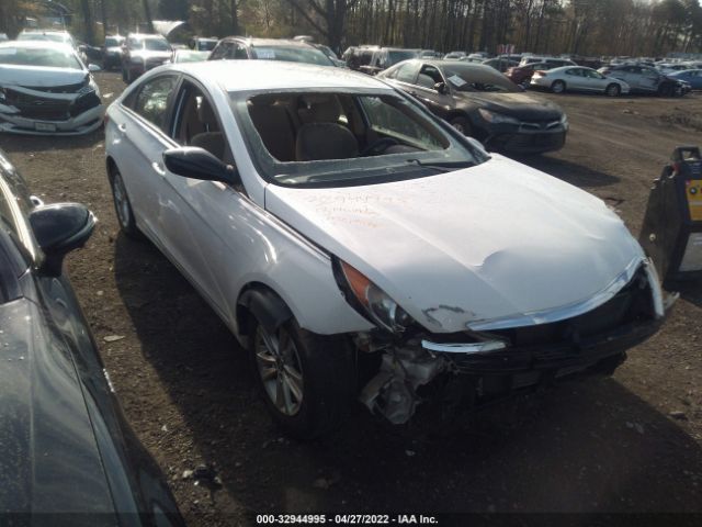 HYUNDAI SONATA 2013 5npeb4ac7dh778823