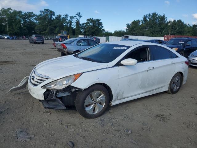 HYUNDAI SONATA 2014 5npeb4ac7eh815807