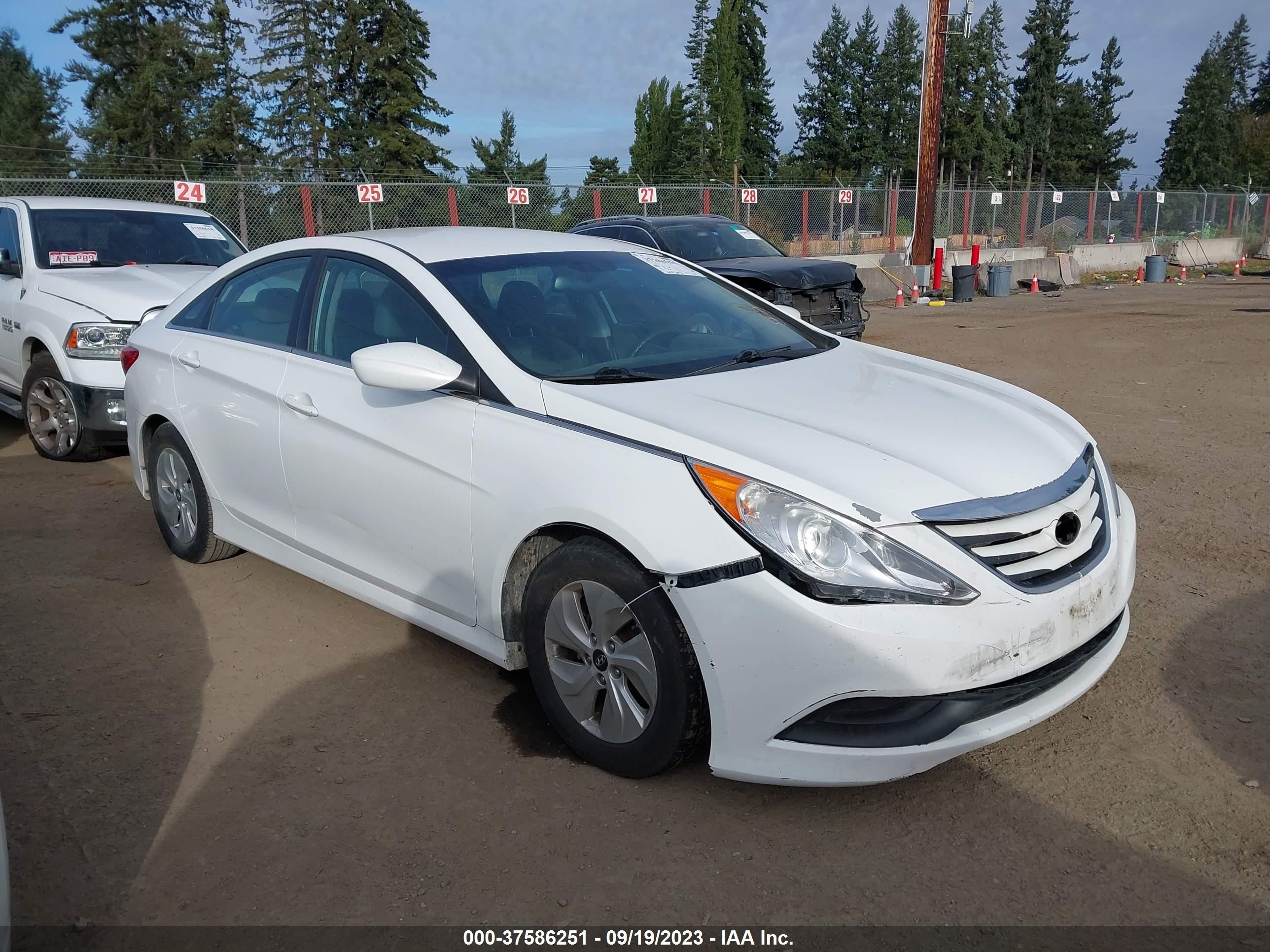 HYUNDAI SONATA 2014 5npeb4ac7eh824166