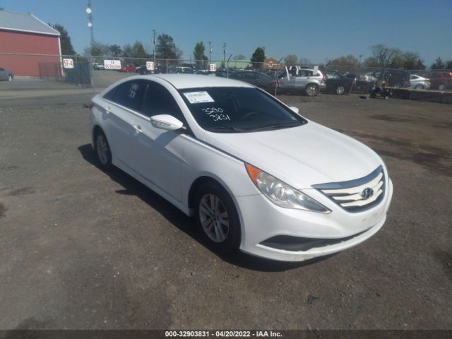 HYUNDAI SONATA 2014 5npeb4ac7eh835328