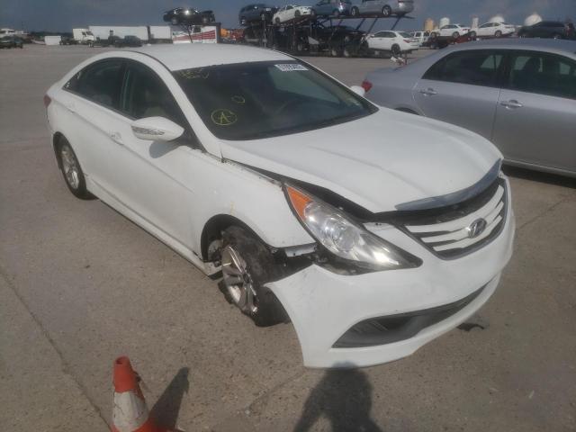 HYUNDAI SONATA GLS 2014 5npeb4ac7eh880723