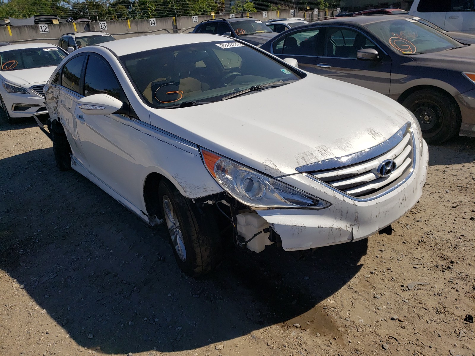 HYUNDAI SONATA GLS 2014 5npeb4ac7eh917883