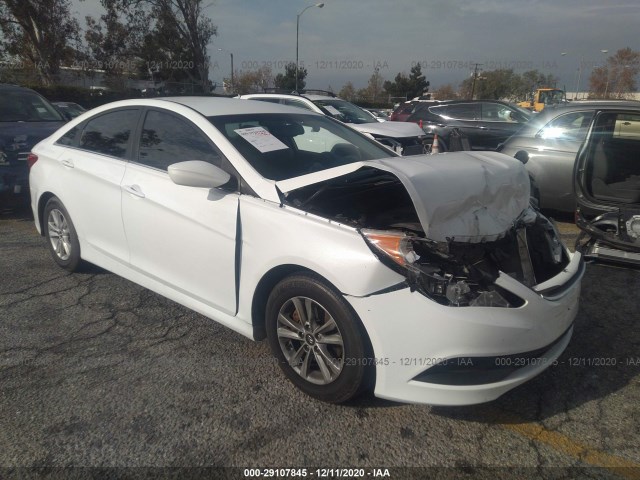 HYUNDAI SONATA 2014 5npeb4ac8eh851800