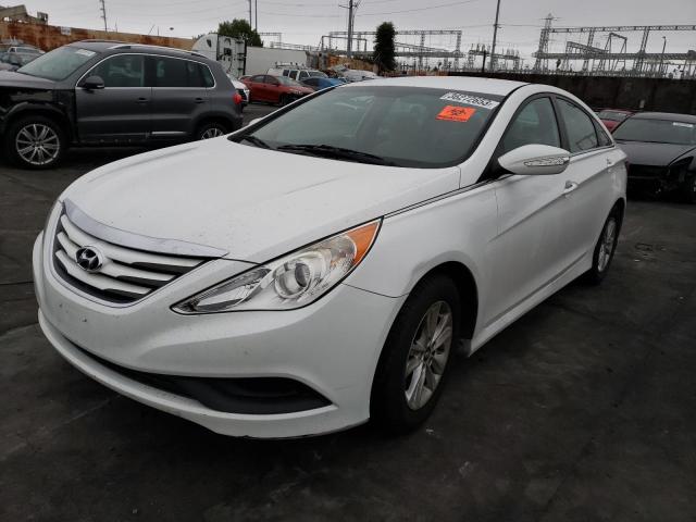 HYUNDAI SONATA GLS 2014 5npeb4ac8eh880052