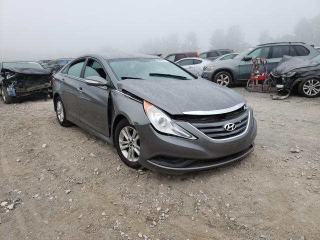 HYUNDAI SONATA GLS 2014 5npeb4ac8eh917522