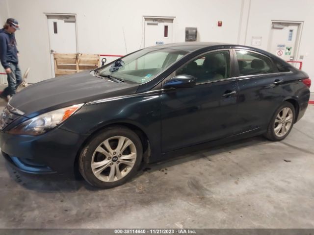 HYUNDAI SONATA 2011 5npeb4ac9bh048182