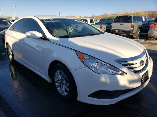 HYUNDAI SONATA GLS 2014 5npeb4ac9eh867357