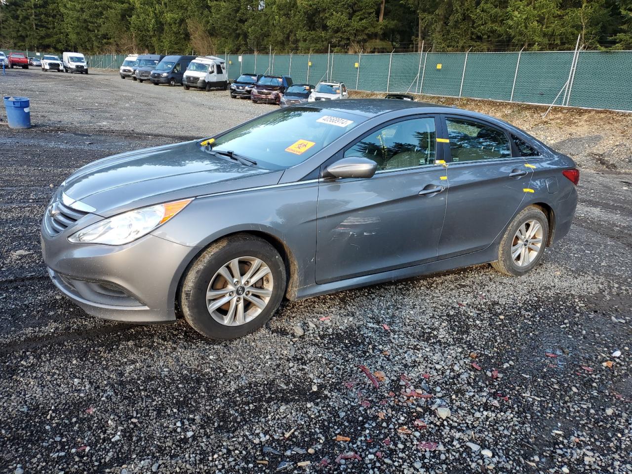 HYUNDAI SONATA 2014 5npeb4ac9eh870145